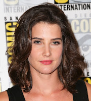 Cobie Smulders HQ photo