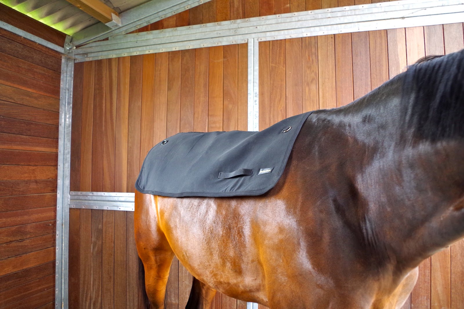 Je vais en parler à mon cheval... Le 