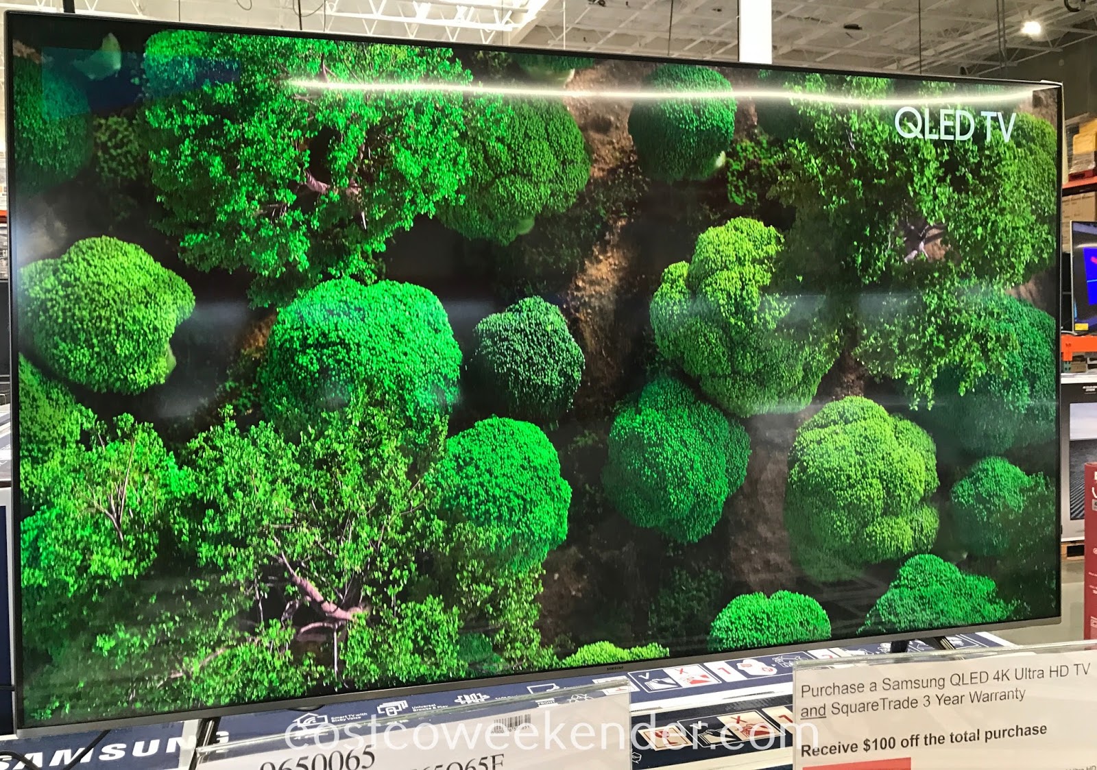 Samsung QN65Q65F 65" 4K UHD QLED LCD TV Costco Weekender