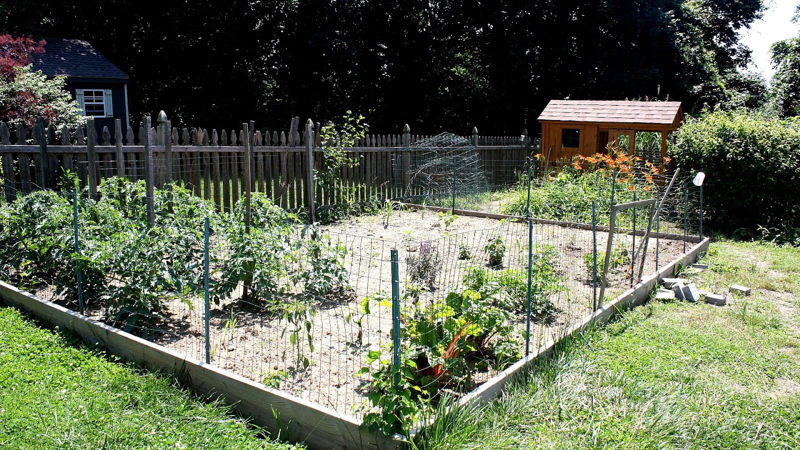 Wire Mesh Garden Fence - Fence Choices