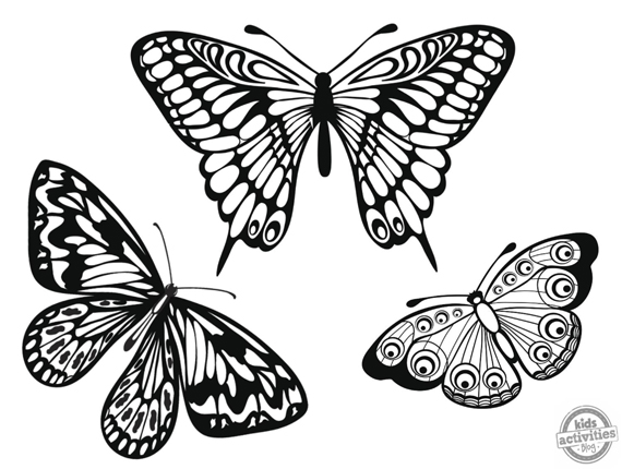 dibujos-mariposas-colorear-2