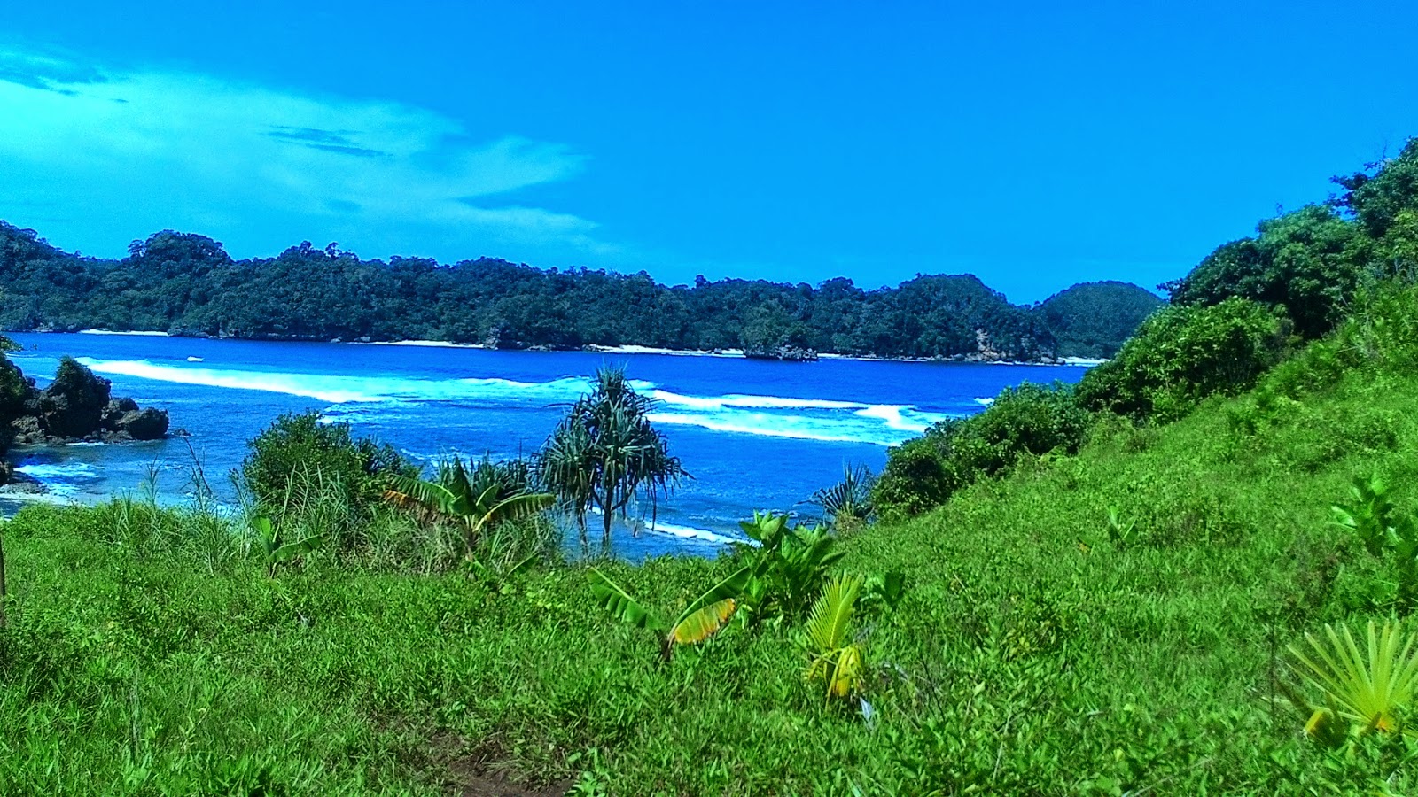 Pantai Savana Malang Punya Pesona Padang Rumput yang Memikat!