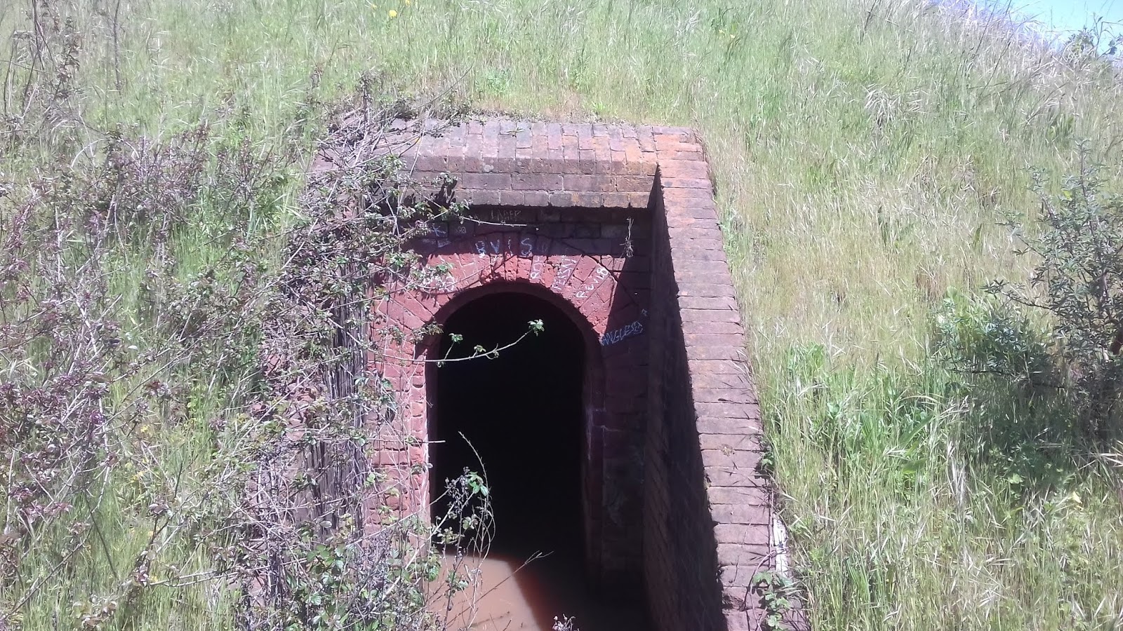 Subterranean History San Francisco Gun Batteries, California, USA