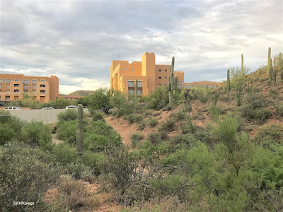 Tucson, Arizona 