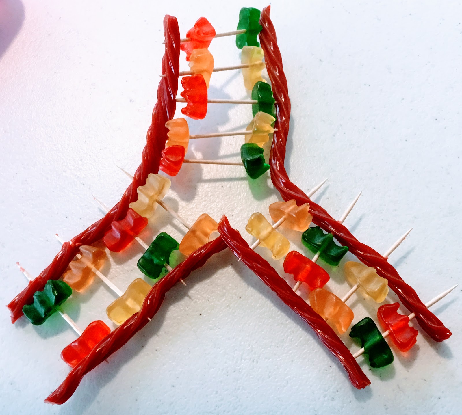 Biology by the Math Mom Visualizing Real DNA and a Model