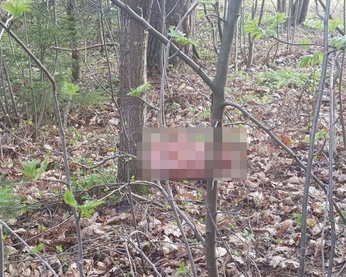В Уфе местные жители обнаружили останки человека В Уфе местные жители обнаружили останки человека