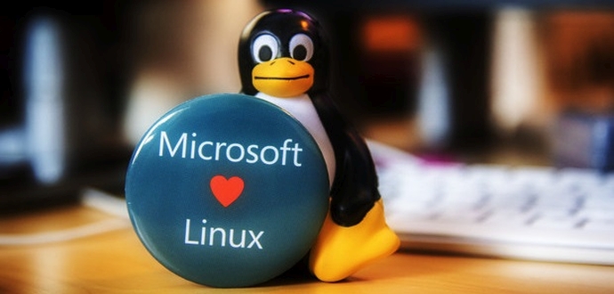 microsoft for linux
