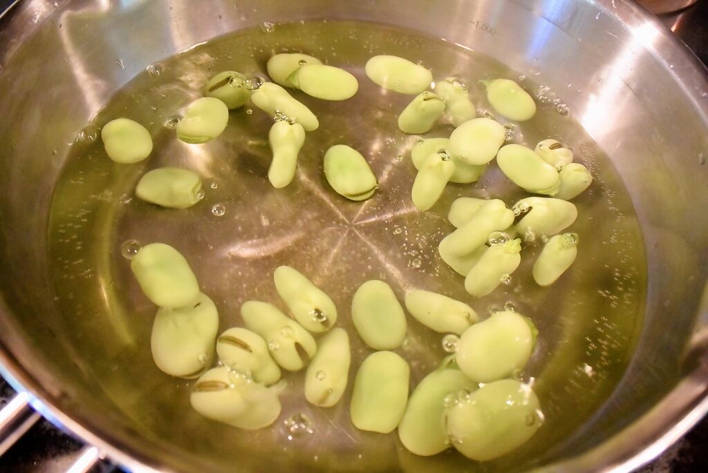 Recipes for Tom Soramamedofu / fava bean tofu