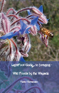 Lightfoot Guide to Foraging - Wild Foods by the Wayside