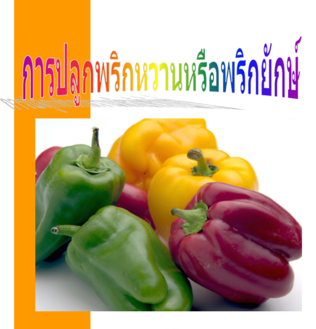 My Image 47