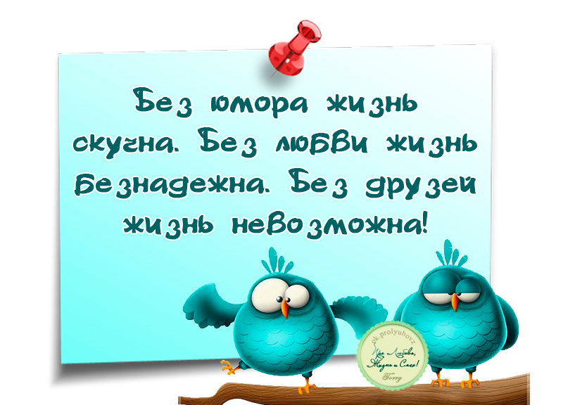 Веселые жизненные картинки