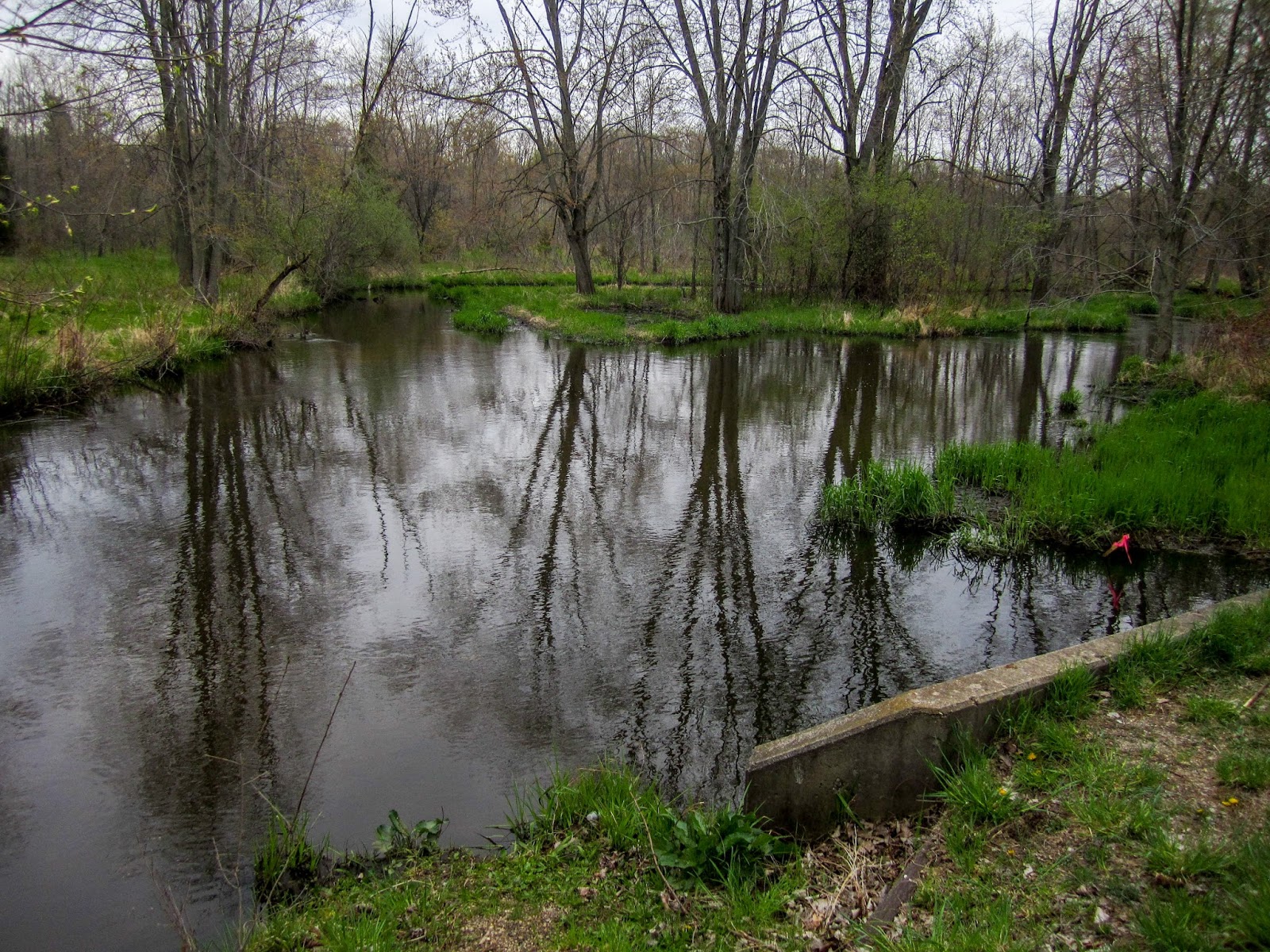 Eric's Hikes North Country Trail Baw Beese Trail and Lost Nation State Game Area