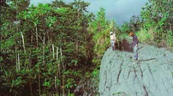 Land surface evaluation for engineering