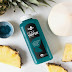 Yeni Besin Trendi : Blue Majik Nedir