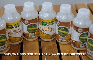cara mengobati syaraf telinga yang lemah untuk semua usia cara mengobati syaraf telinga yang lemah untuk semua usia