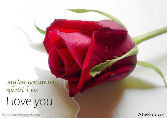 Funny Pictures Gallery: Love roses wallpapers, love rose flower