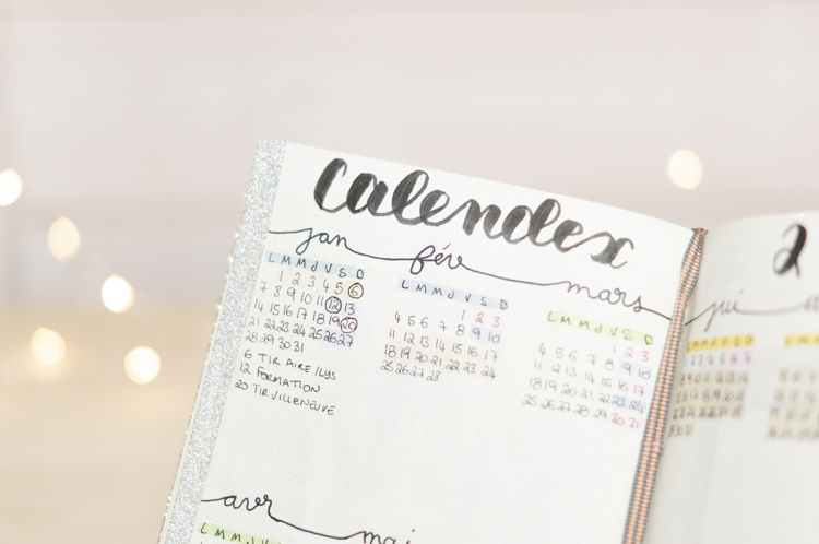 Janvier dans mon Bujo | Le blog de Lau Demoizelle