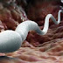 DID YOU KNOW THAT THE SPERM CAN IMPROVE YOUR HEALTH – FIND OUT MORE ABOUT IT HERE
