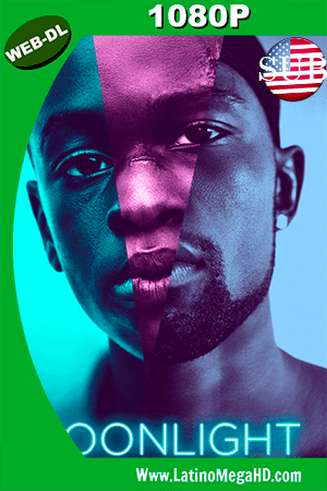 Luz de Luna (2016) Subtitulado HD WEB-DL 1080P (2016)