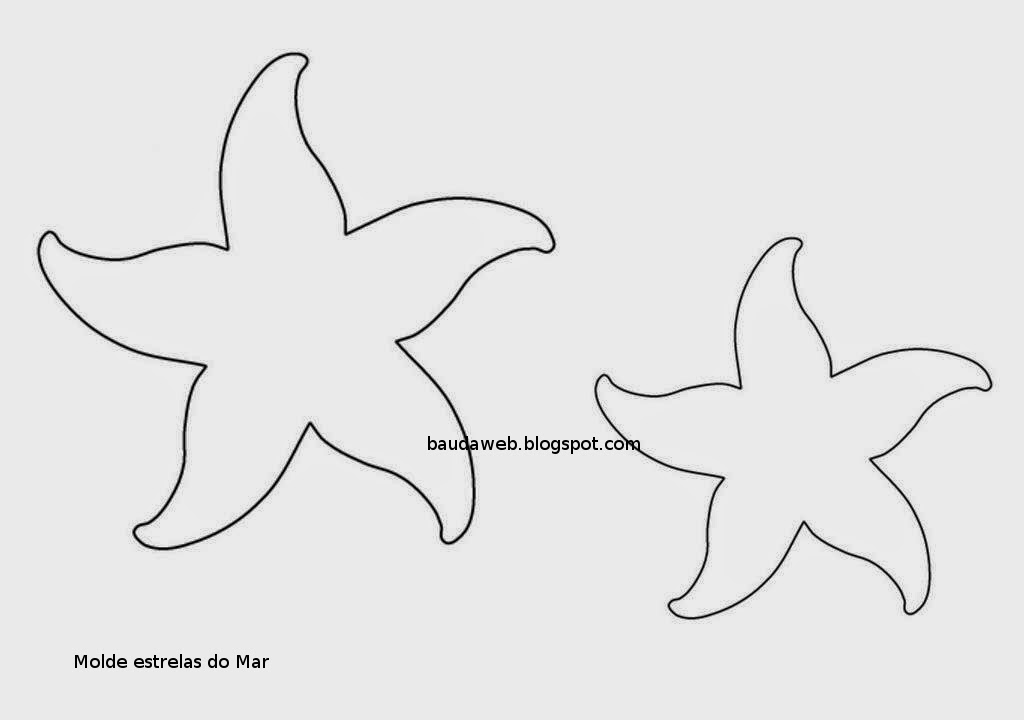 Baú da  Moldes e riscos Estrela do Mar