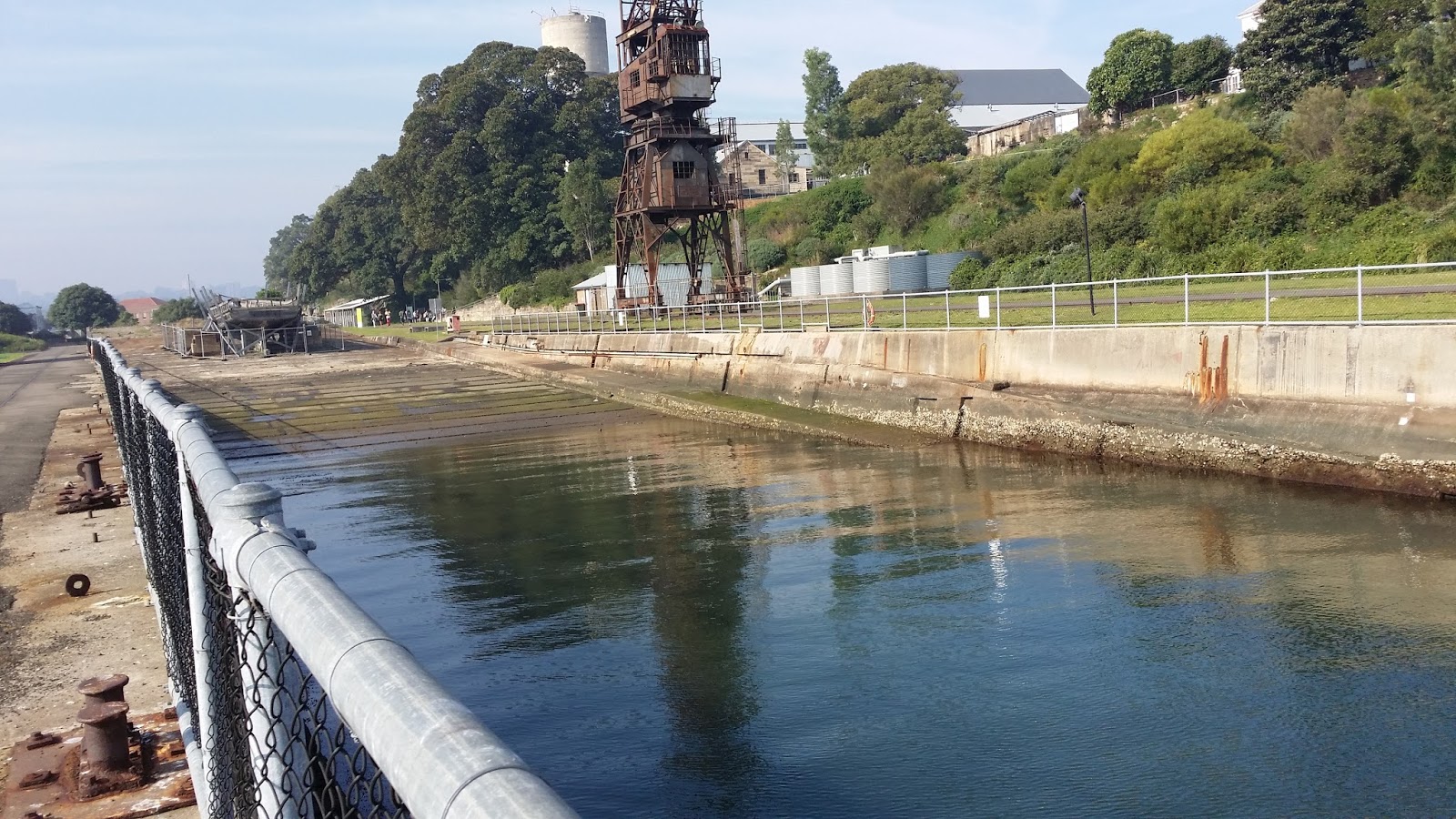 Lazy Swimmer Cockatoo Island Swimming Enclosure