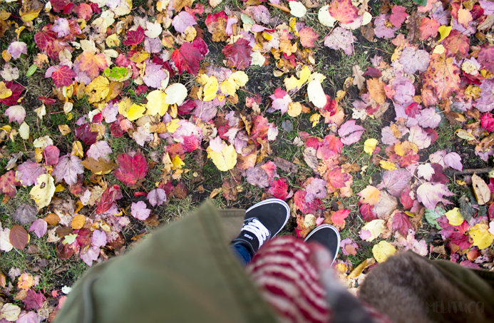 Colores otoño fotografia Belfast