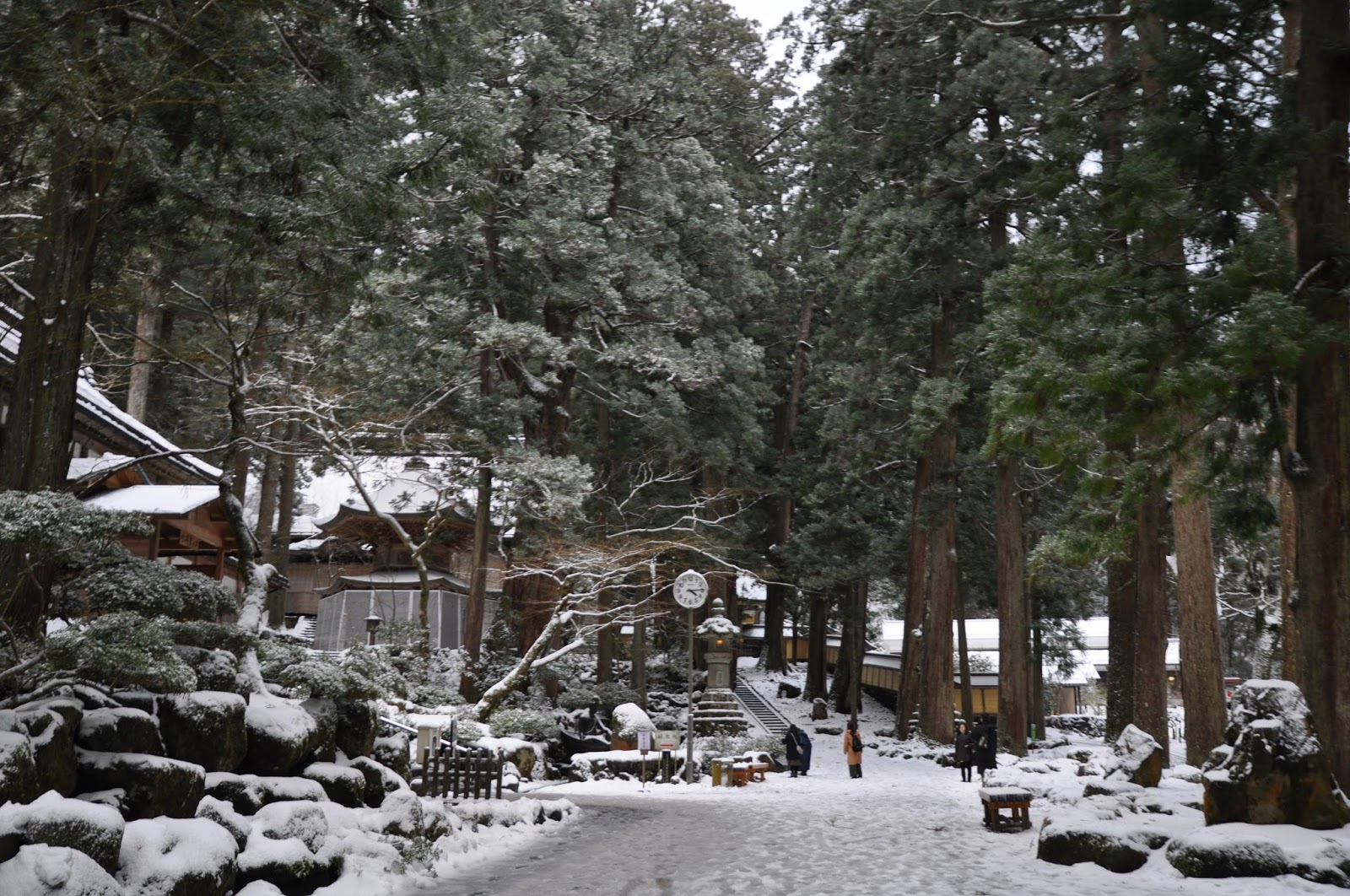 福井吉田 大本山永平寺 禪宗之曹洞宗之大本營 愛日研
