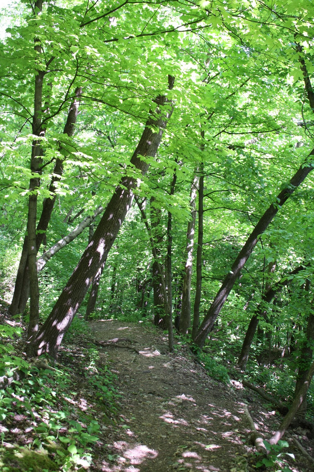 A Little Time and a Keyboard Barn Bluff Hike in Red Wing, Minnesota