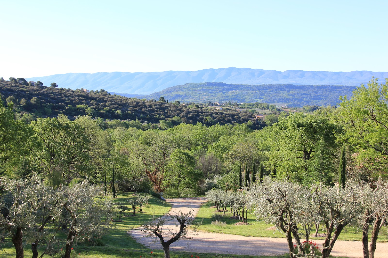 Provence Tayl's Weather in Provence April 2012