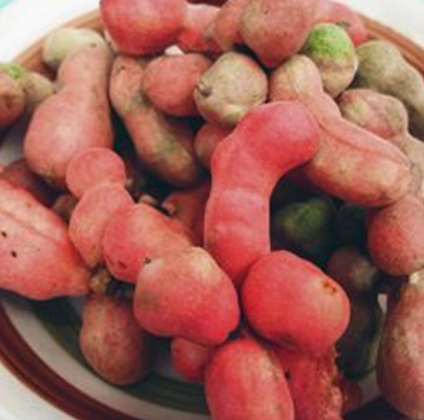 Nutritional Benefits Of Pepper Fruit Runners High Nutrition