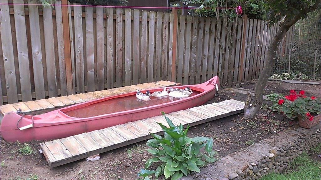 The Reuser: Creatively Reuse a Canoe as a Duck Pond