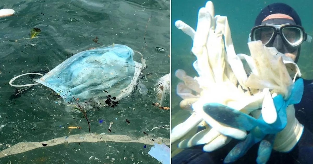 Billions Of Wrongly Disposed Face Masks And Other Personal Protective Equipment Found To Seriously Pollute Oceans And Rivers