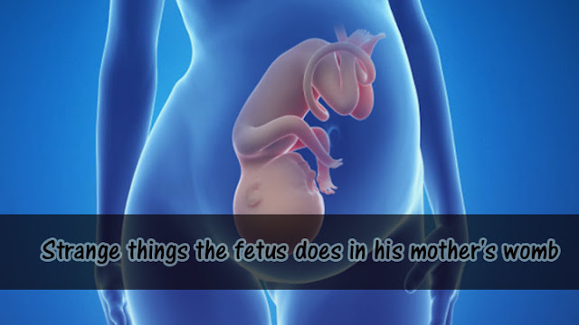 Strange things the fetus does in his mother's womb! 