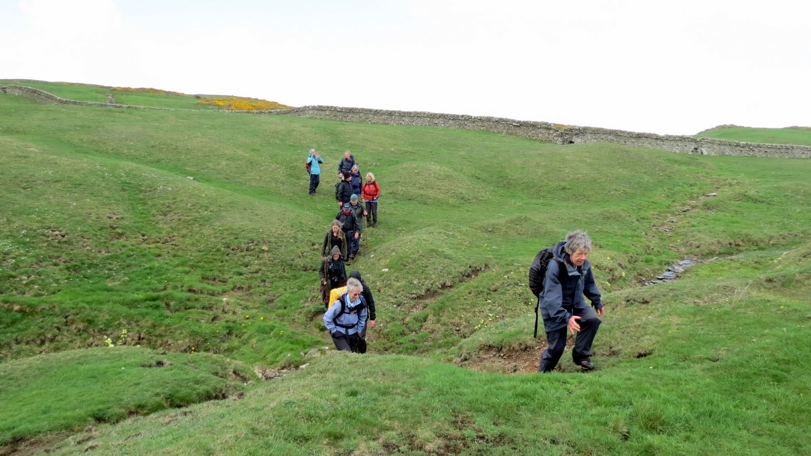 The Glebe Blog Three Walks Newton Stewart Walking Festival 2013