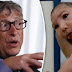 Chemicals, Vaccines, and Bill Gates: What You Need To Know About The Zika-Fear Campaign