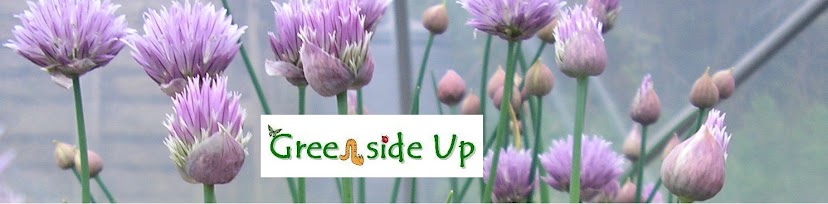 Greenside Up Vegetable Blog