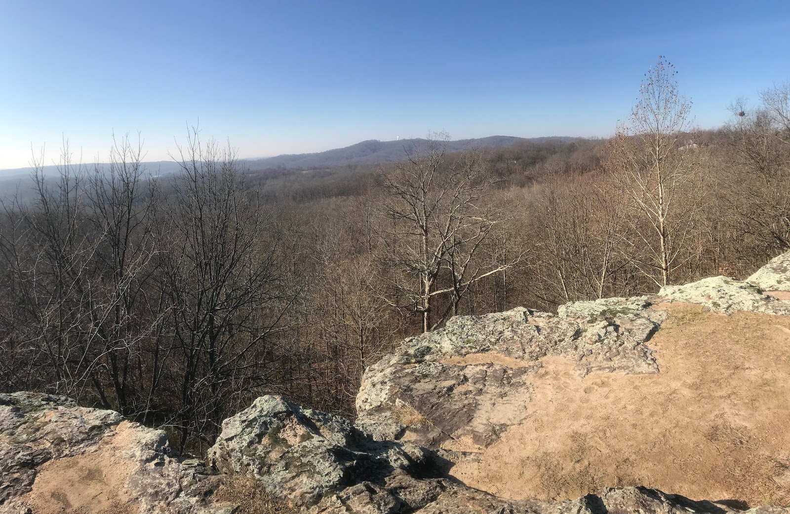 Illinois Botanizer River to River Trail across southern Illinois Day 9