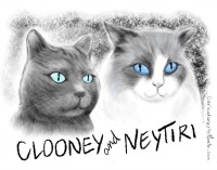 WANT A CATICATURE? CLICK HERE FOR CLOONEY'S PURRSONAL ARTISTE!