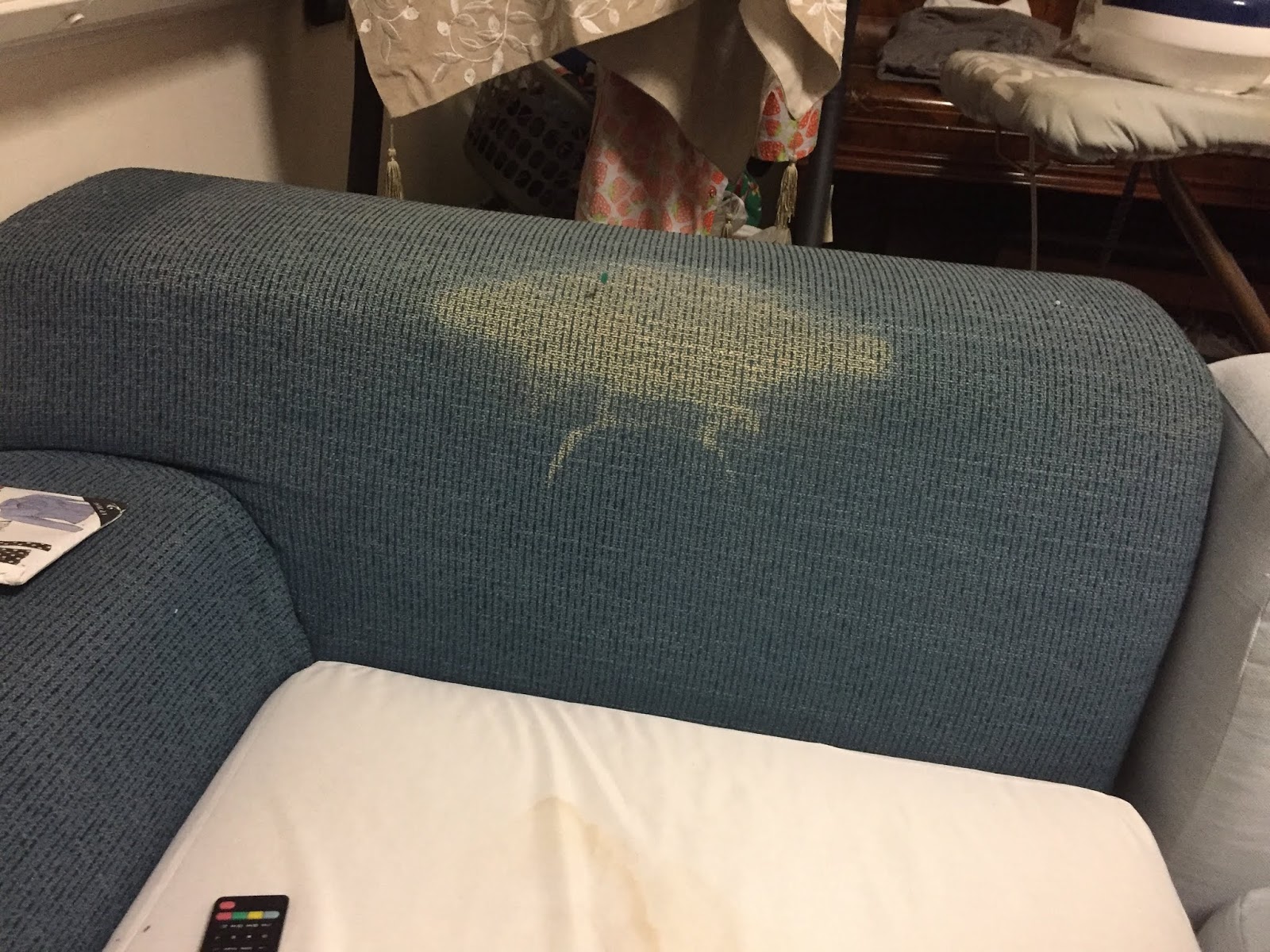 So, the time I covered the couch...