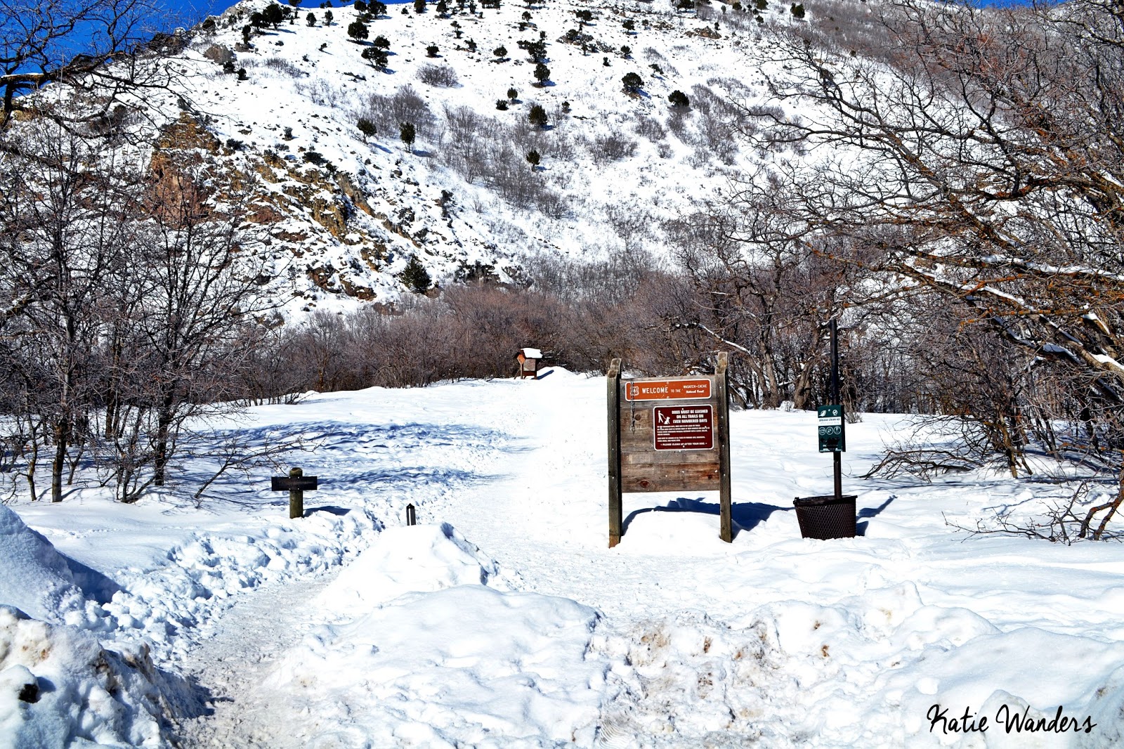 Katie Wanders Dog Friendly Rattlesnake Gulch Winter Hike in