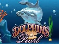 dolphins pearl aparate dolphins pearl aparate