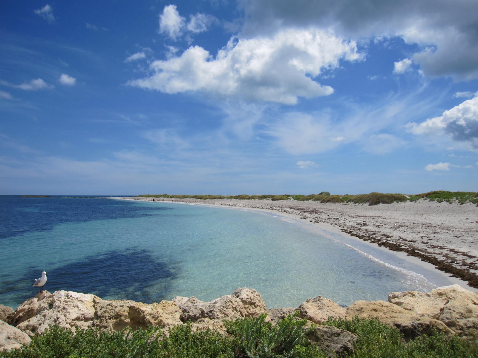 Our First Home in Eden Green Exploring Hammond Park and Woodmans Point