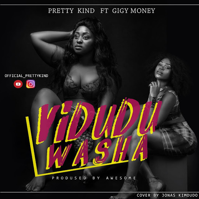 Audio: Pretty Kind Ft. Gigy Money - Viduduwasha | MP3 Download