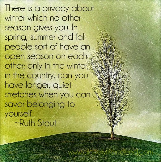 A Lovely Life, Indeed Transitions...Winter's Call to Slow Down