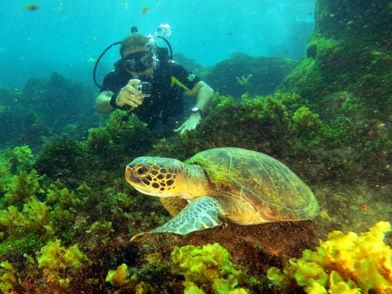 MAR do CEARÁ Parque Estadual Marinho