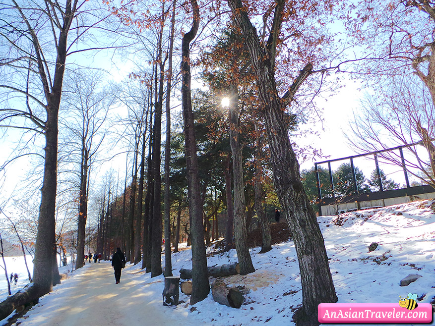 Seoul, Korea Nami Island on a Cold Winter Day An Asian Traveler