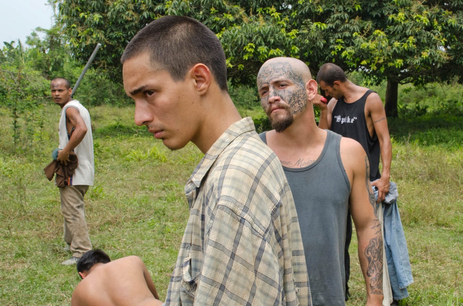 vivecinescrupulos La vida precoz y breve