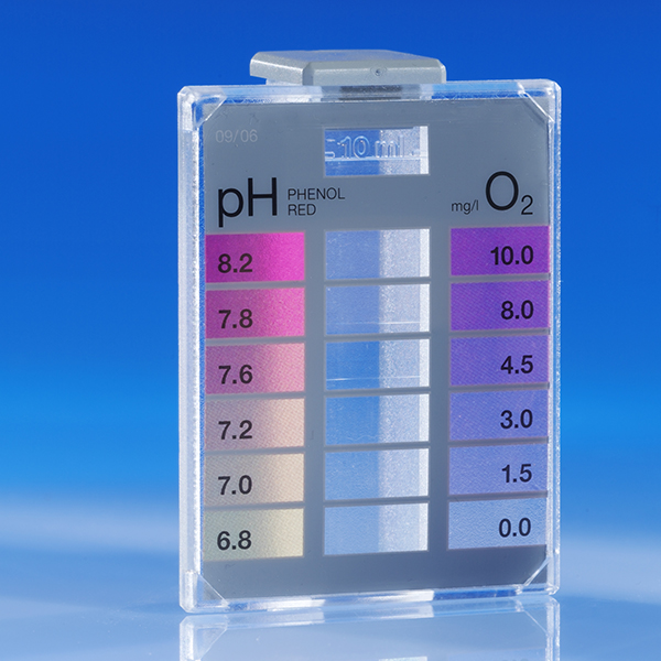 Desain, Peralatan dan Pemasangan Kolam Renang, Spa & Jacuzzi, dan Water