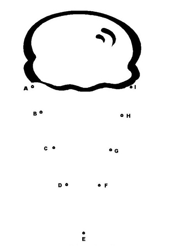 Dibujar sorbete uniendo puntos para colorear y pintar - COLOREA TUS DIBUJOS