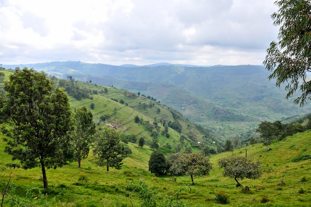 Land of a Thousand Hills My Life in Rwanda